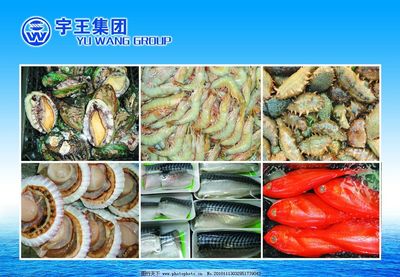 水产品 大海的馈赠与人类的智慧