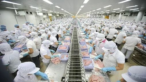打造世界一流水产品加工中心 越南的崛起之路