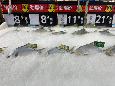 冷链产品还能买吗？记者实探 有菜场停售进口海鲜，部分商超启用水产品“身份证”